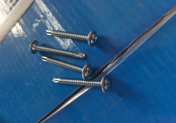 貝貝熊華司鉆尾釘